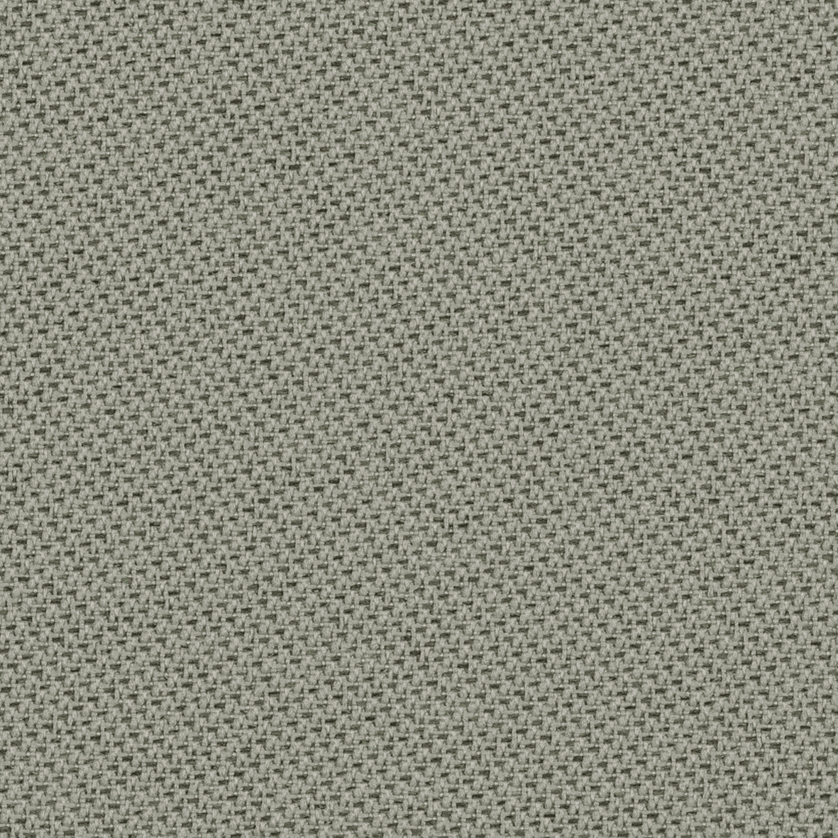 Xrozz Absorption Tonal